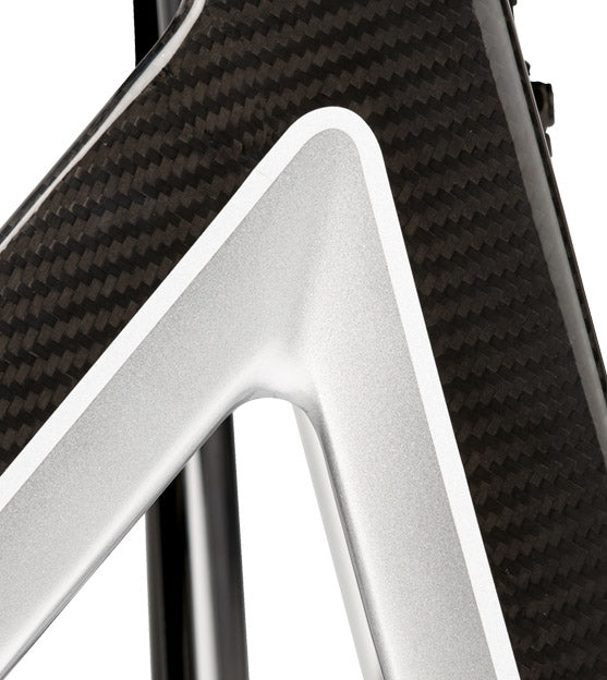 Carbon-Rollator Alevo