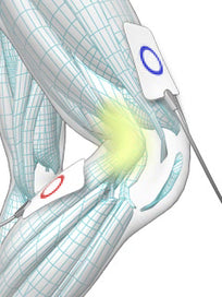PHYSIODYN-Expert (3rd edition)