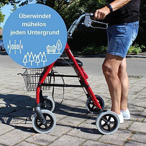 Trendmobil Rollator nur 6,7 kg - inkl. Korb und Stockhalterung